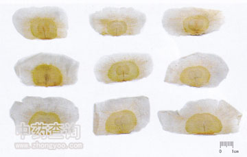 ���_�Ĕ[�ŵ�ľ����ˎ��