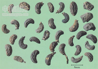 �i��Ůؑ��