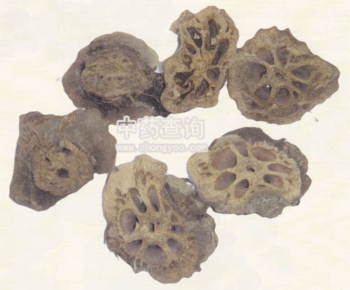 ź��(ji��)ˎ��