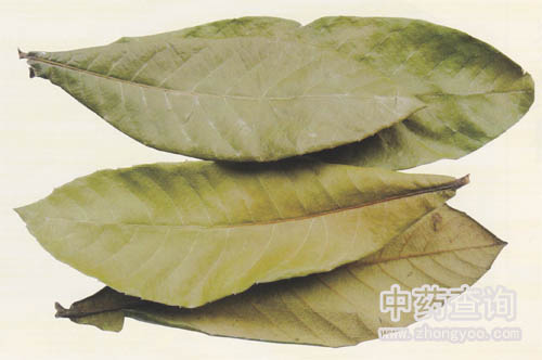 �����~ˎ�Ĵ�D