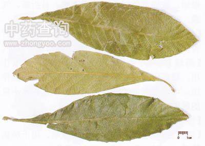 �����~��С���ȈD