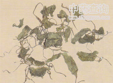 �����ˎ��(���~�������ˎ���Ј���ͨ����Ʒ)