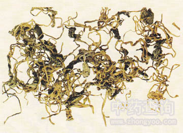 �����ǿ�ֲ��ĸ���ȫ��(���������Ʒ)