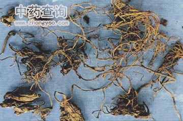 �R��⏿�ֲ��ĸ���ȫ��(���������Ʒ)