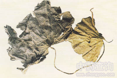 �R��⏿�ֲ��ĸ���ȫ��(���������Ʒ)