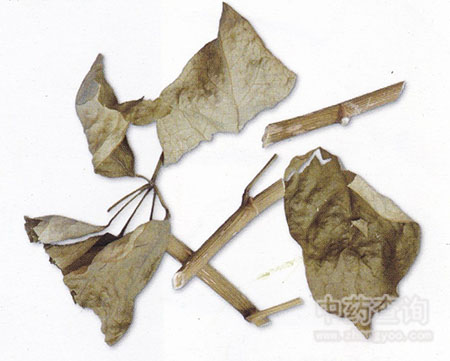 七葉蓮市場(chǎng)流通飲片圖片