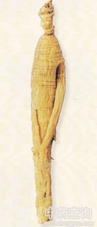 �˅�����ˎ��