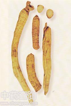 ����ˎ��