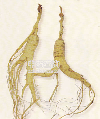 �˅�����ˎ��(ȫ�����ˎ��)