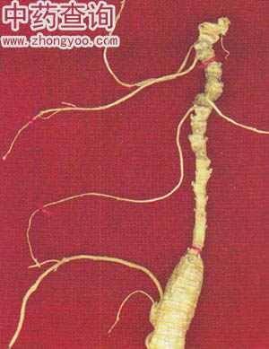 �˅��J�^(�㲱�J)