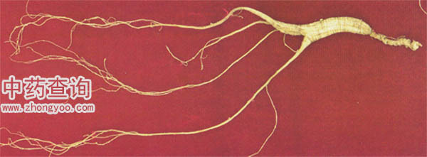 Ұ���˅�ȫ�����