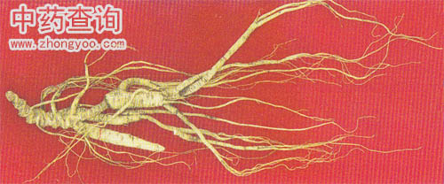 ����������ƴ�ӳɼ�ðҰɽ��(�˅�����Ʒ)