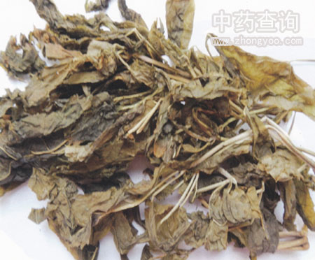 �����˅��~ˎ��