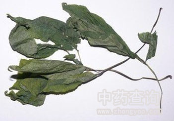 �Ј�(ch��ng)��ͨ���˅��~ˎ��