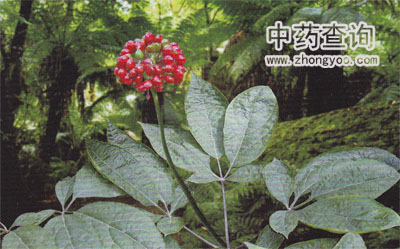 �˅��~��Դֲ��