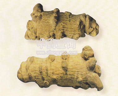 ����ˎ�ķŴ�D(�ӹ�Ʒ)