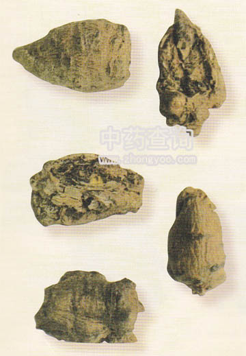 ���ߓ���Ʒ