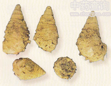 ݭ�g(sh��)ˎ�ĸ��o(���߂���Ʒ)