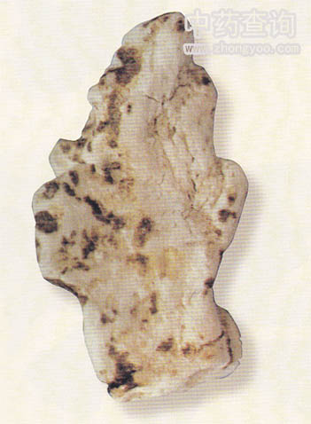 ��������(ɽˎ����Ʒ)