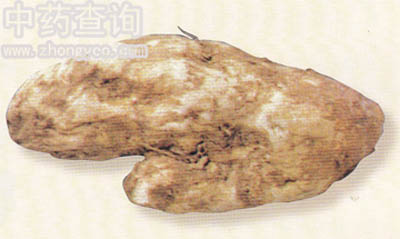 ��������(ɽˎ����Ʒ)