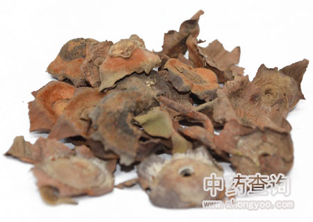 �Ј���ͨ������ˎ���Ƭ