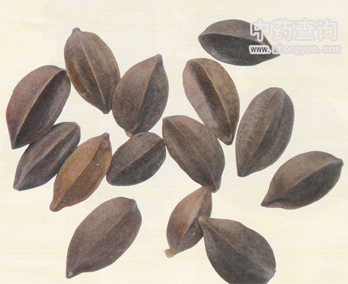 ʹ����ˎ��