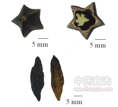 ʹ����ˎ�ľֲ��D(�ײ����M���漰�N��)