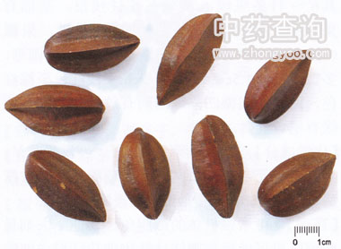 ʹ����ˎ��