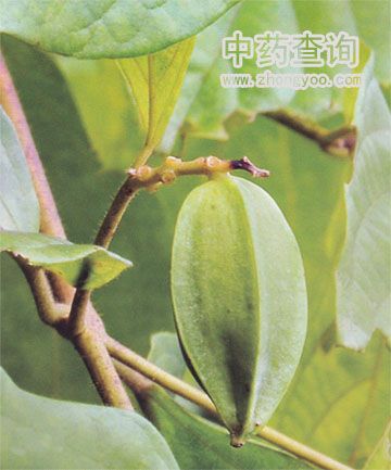 ��ˎʹ����Դֲ��DƬ