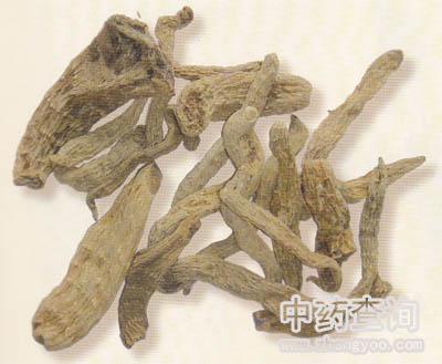 天麻藥材(野生品,藥材市場流通的商品)