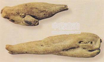 ������(�������Ʒ)