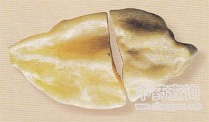 馬鈴薯(天麻混淆品)