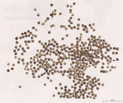 ������ˎ��