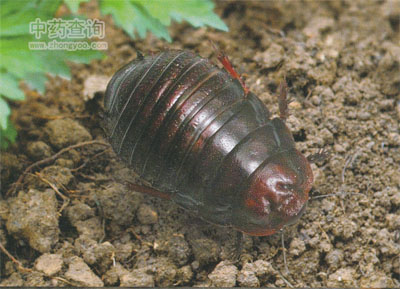 ���M�x���w�x