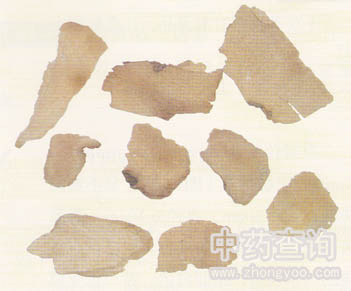 ������ˎ���Ƭ(Ƭ��)