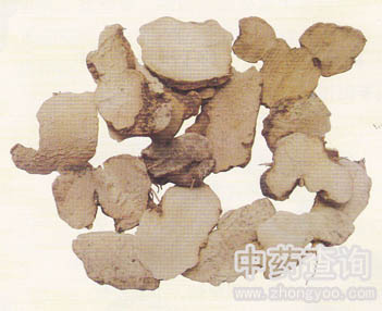 ������ˎ���Ƭ(�KƬ��)