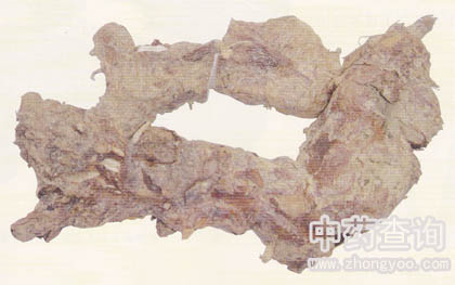 ������ˎ��