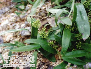 ������Դֲ����~����