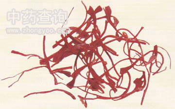 ���t��ˎ��(ˮ���ݺ�)