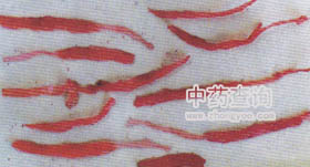 ����ð�����t��(���t������Ʒ)