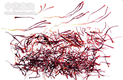 ���t��ˎ��