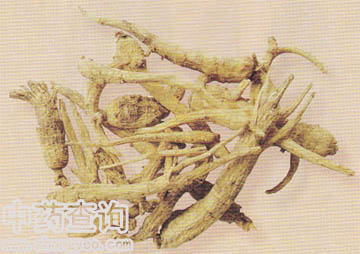 ����(�齛(j��ng)�ӹ��Ľy(t��ng)�bȫ�����)