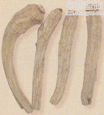 �����L(zh��ng)֦(ˎ���Ј�(ch��ng)��ͨ����Ʒ)