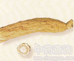 ���󅢷Ŵ�D(����N��)