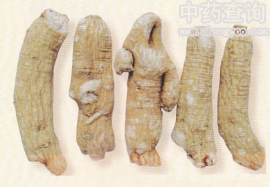 ����(���󅢷���Ʒ)