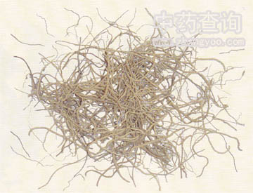 ���L(zh��ng)��ˎ���Ƭ