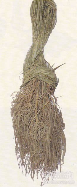 ���L(zh��ng)��ȫ��ˎ��