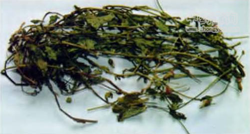 �����ȫ��ˎ�ĈDƬ