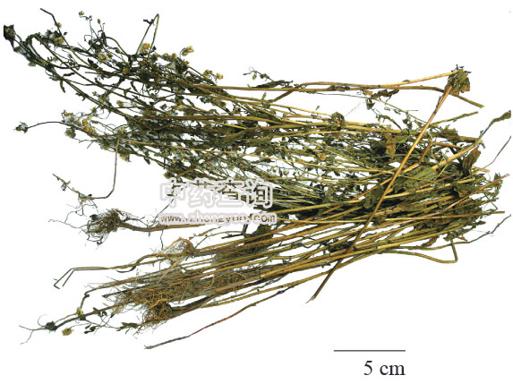 һ֦�S�����rˎ��