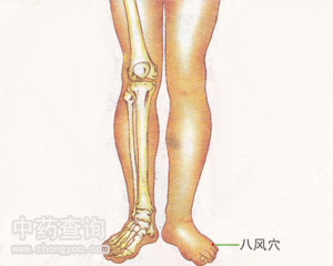 ���L(f��ng)Ѩλ